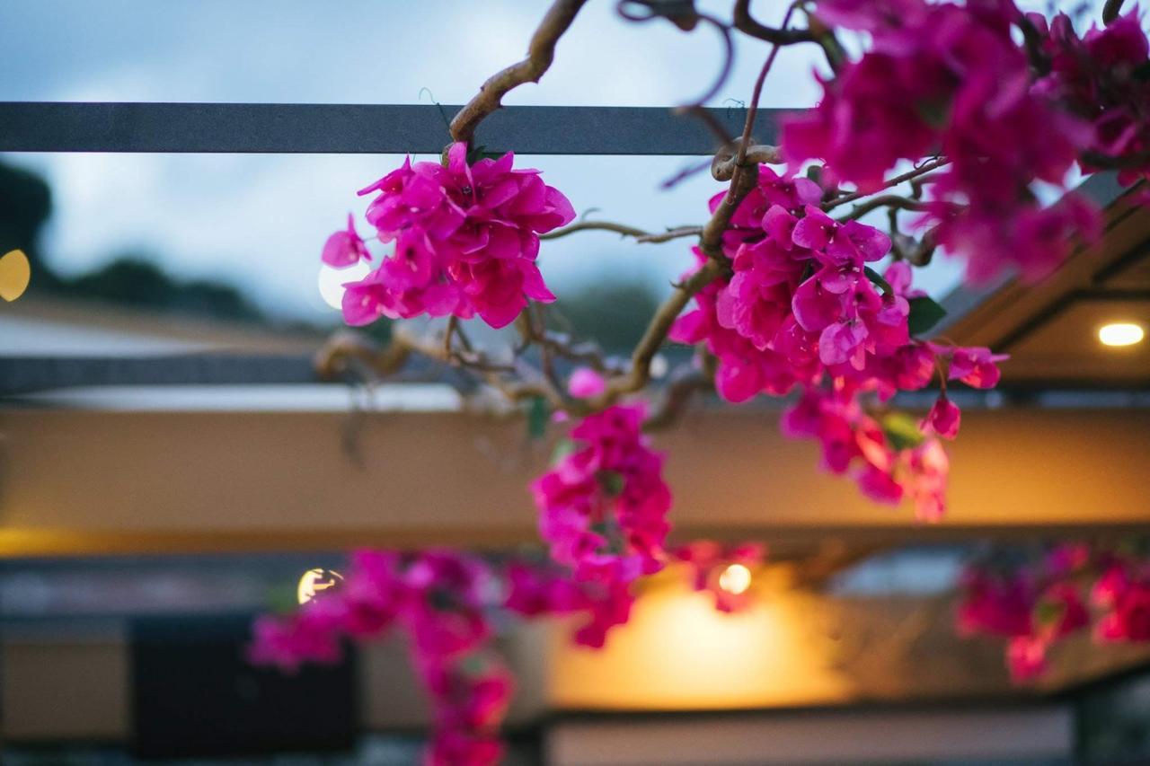 Amaryllis Hotel Nafpaktos Ngoại thất bức ảnh